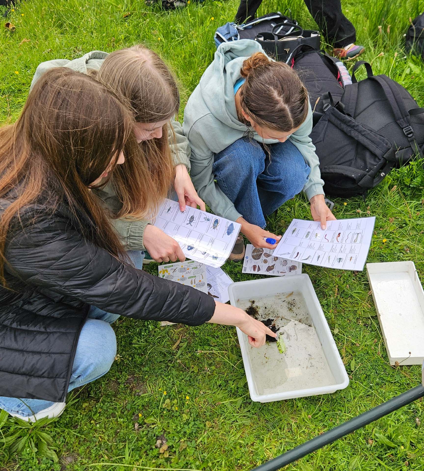 Austausch Niederlande 2025